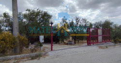 C/2 con Terreno Olivato – Stazione “La Martella”
