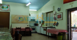 C/2 con Terreno Olivato – Stazione “La Martella”