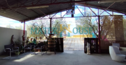 C/2 con Terreno Olivato – Stazione “La Martella”