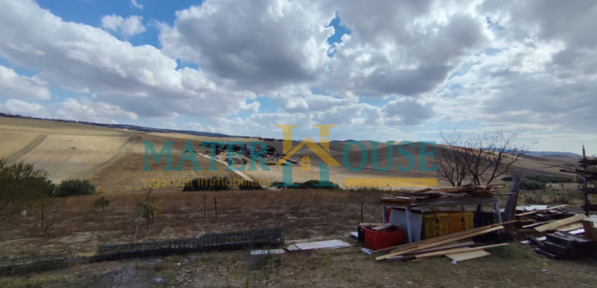 C/2 con Terreno Olivato – Stazione “La Martella”