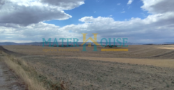 C/2 con Terreno Olivato – Stazione “La Martella”