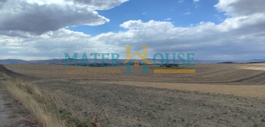 C/2 con Terreno Olivato – Stazione “La Martella”
