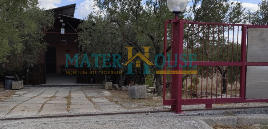 C/2 con Terreno Olivato – Stazione “La Martella”