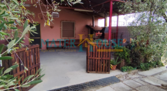 C/2 con Terreno Olivato – Stazione “La Martella”