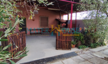 C/2 con Terreno Olivato – Stazione “La Martella”