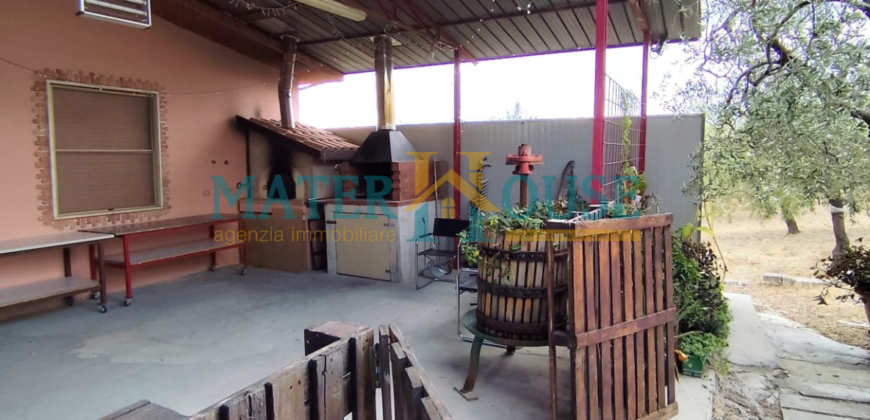 C/2 con Terreno Olivato – Stazione “La Martella”