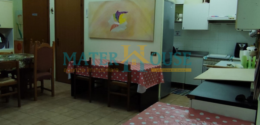C/2 con Terreno Olivato – Stazione “La Martella”
